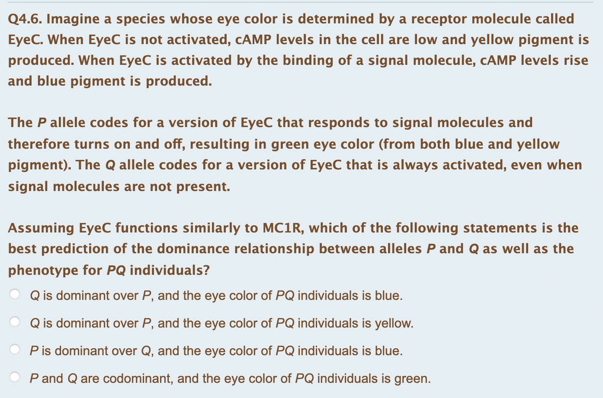 Q4.6. Imagine a species whose eye color is determined by a receptor molecule called
EyeC. When EyeC is not activated, CAMP levels in the cell are low and yellow pigment is
produced. When EyeC is activated by the binding of a signal molecule, cAMP levels rise
and blue pigment is produced.
The P allele codes for a version of EyeC that responds to signal molecules and
therefore turns on and off, resulting in green eye color (from both blue and yellow
pigment). The Q allele codes for a version of EyeC that is always activated, even when
signal molecules are not present.
Assuming EyeC functions similarly to MC1R, which of the following statements is the
best prediction of the dominance relationship between alleles P and Q as well as the
phenotype for PQ individuals?
Q is dominant over P, and the eye color of PQ individuals is blue.
Q is dominant over P, and the eye color of PQ individuals is yellow.
P is dominant over Q, and the eye color of PQ individuals is blue.
P and Q are codominant, and the eye color of PQ individuals is green.