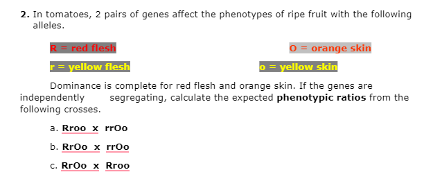2. In tomatoes, 2 pairs of genes affect the phenotypes of ripe fruit with the following
alleles.
R= red flesh
r= yellow flesh
O = orange skin
o = yellow skin
Dominance is complete for red flesh and orange skin. If the genes are
independently
following crosses.
segregating, calculate the expected phenotypic ratios from the
a. Rroo x rro
b. Rroo x rr0o
c. Rroo x Rroo
