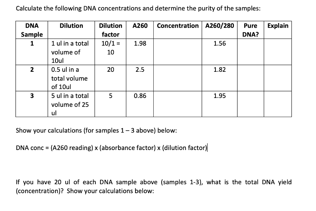 Calculate the following DNA concentrations and determine the purity of the samples:
DNA
Dilution
Dilution
A260
Concentration A260/280
Pure
Explain
Sample
factor
DNA?
1
1 ul in a total
10/1 =
1.98
1.56
volume of
10
10ul
2
0.5 ul in a
20
2.5
1.82
total volume
of 10ul
3
5 ul in a total
0.86
1.95
volume of 25
ul
Show your calculations (for samples 1-3 above) below:
DNA conc = (A260 reading) x (absorbance factor) x (dilution factor)
If you have 20 ul of each DNA sample above (samples 1-3), what is the total DNA yield
(concentration)? Show your calculations below:
