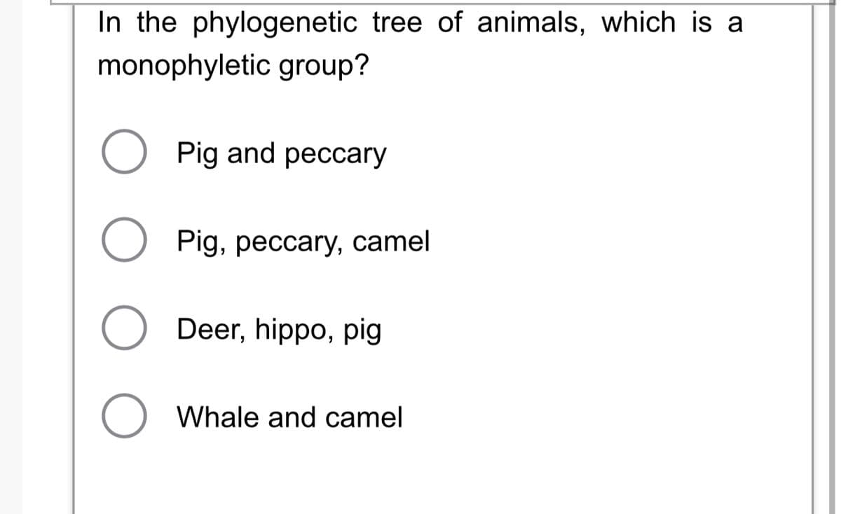 In the phylogenetic tree of animals, which is a
monophyletic group?
Pig and peccary
O Pig, peccary, camel
Deer, hippo, pig
O Whale and camel