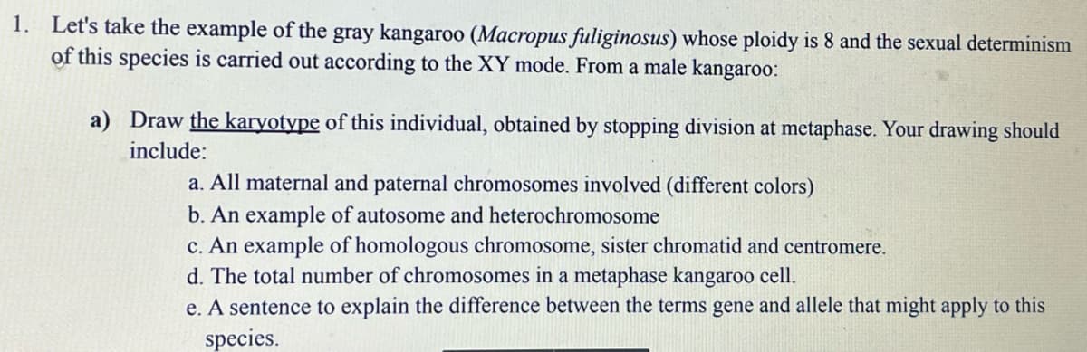 1. Let's take the example of the gray kangaroo (Macropus fuliginosus) whose ploidy is 8 and the sexual determinism
of this species is carried out according to the XY mode. From a male kangaroo:
a) Draw the karyotype of this individual, obtained by stopping division at metaphase. Your drawing should
include:
a. All maternal and paternal chromosomes involved (different colors)
b. An example of autosome and heterochromosome
c. An example of homologous chromosome, sister chromatid and centromere.
d. The total number of chromosomes in a metaphase kangaroo cell.
e. A sentence to explain the difference between the terms gene and allele that might apply to this
species.