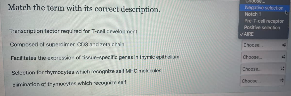 Match the term with its correct description.
Transcription factor required for T-cell development
Composed of superdimer, CD3 and zeta chain
Facilitates the expression of tissue-specific genes in thymic epithelium
Selection for thymocytes which recognize self MHC molecules
Elimination of thymocytes which recognize self
Negative selection
Notch 1
Pre-T-cell receptor
Positive selection
✓AIRE
Choose...
Choose...
Choose...
Choose...
$
✪