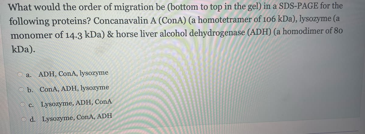 What would the order of migration be (bottom to top in the gel) in a SDS-PAGE for the
following proteins? Concanavalin A (ConA) (a homotetramer of 106 kDa), lysozyme (a
monomer of 14.3 kDa) & horse liver alcohol dehydrogenase (ADH) (a homodimer of 80
kDa).
a. ADH, ConA, lysozyme
b. ConA, ADH, lysozyme
c. Lysozyme, ADH, ConA
Od. Lysozyme, ConA, ADH