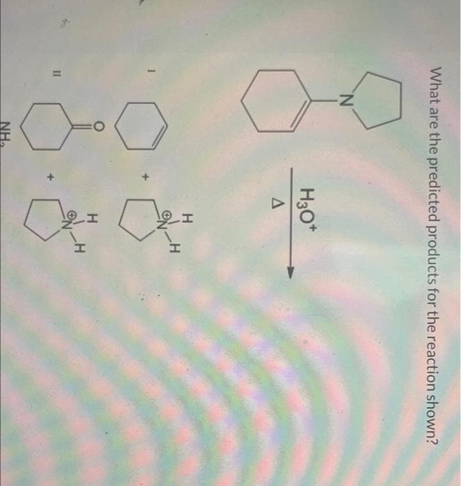%3D
What are the predicted products for the reaction shown?
N.
H3O*
H
H.
II
NH.
