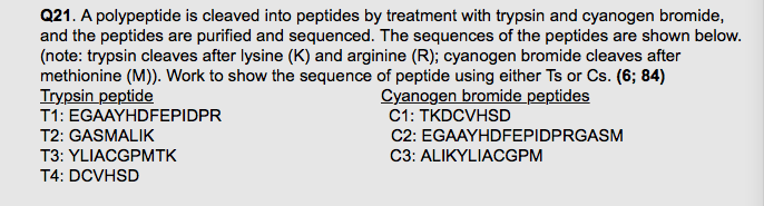Q21. A polypeptide is cleaved into peptides by treatment with trypsin and cyanogen bromide,
and the peptides are purified and sequenced. The sequences of the peptides are shown below.
(note: trypsin cleaves after lysine (K) and arginine (R); cyanogen bromide cleaves after
methionine (M)). Work to show the sequence of peptide using either Ts or Cs. (6; 84)
Trypsin peptide
Cyanogen bromide peptides
C1: TKDCVHSD
T1: EGAAYHDFEPIDPR
T2: GASMALIK
C2:
EGAAYHDFEPIDPRGASM
T3: YLIACGPMTK
C3: ALIKYLIACGPM
T4: DCVHSD
