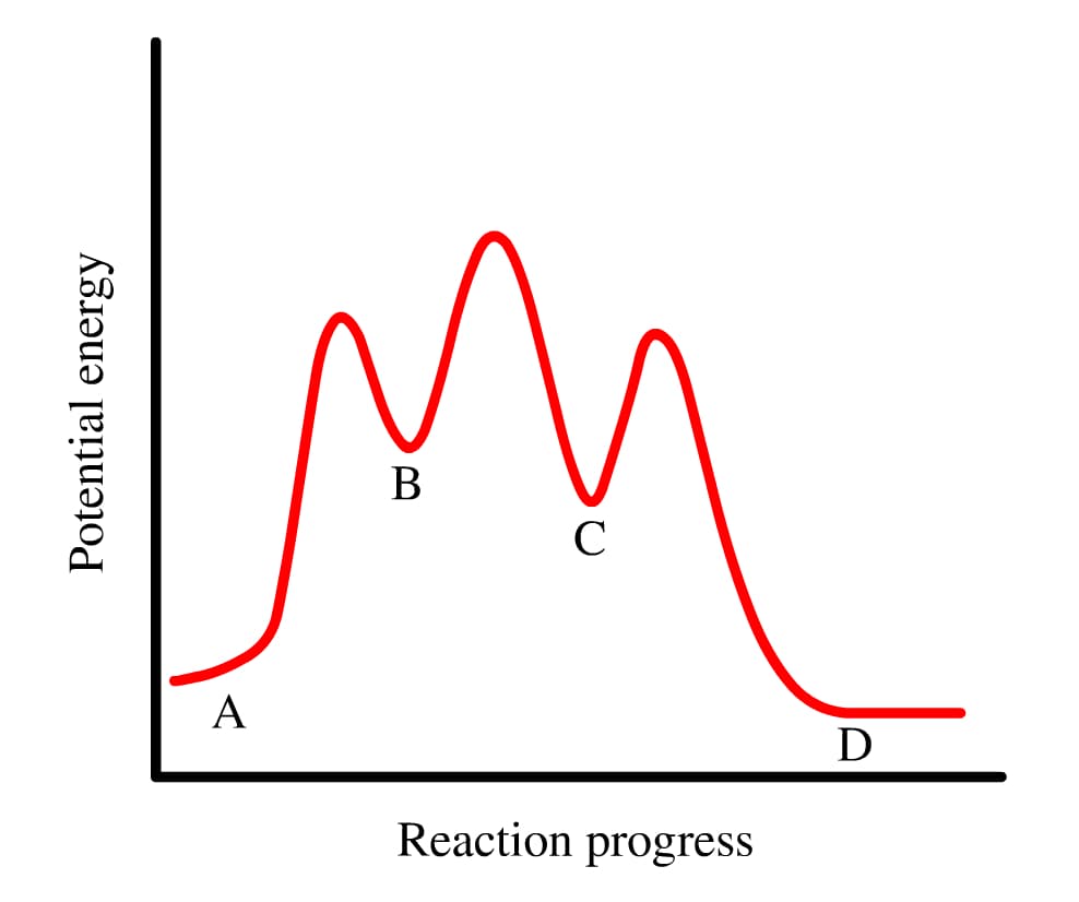 В
A
D
Reaction progress
Potential energy

