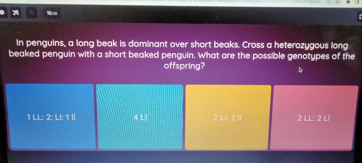 X
10/23
In penguins, a long beak is dominant over short beaks. Cross a heterozygous long
beaked penguin with a short beaked penguin. What are the possible genotypes of the
offspring?
4
1 LL: 2: Ll: 1 |
4 LI
2 LI: 2 11
2 LL: 2 LI