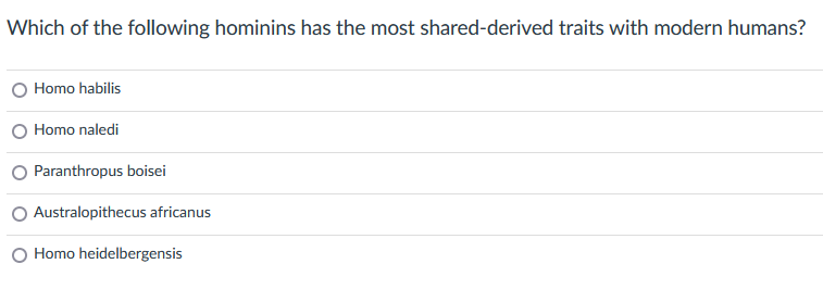 Which of the following hominins has the most shared-derived traits with modern humans?
Homo habilis
Homo naledi
Paranthropus boisei
Australopithecus africanus
O Homo heidelbergensis