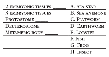 2 EMBRYONIC TISSUES
A. SEA STAR
B. SEA ANEMONE
C. FLATWORM
3 EMBRYONIC TISSUES
PROTOSTOME
DEUTEROSTOME
D. EARTHWORM
METAMERIC BODY
E. LOBSTER
F. FISH
G. FROG
H. INSECT
