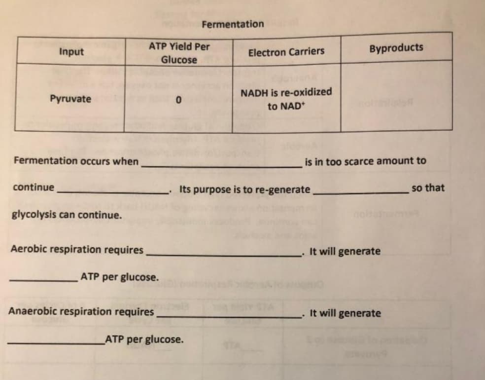 Fermentation
Input
ATP Yield Per
Electron Carriers
Вyproducts
Glucose
NADH is re-oxidized
Pyruvate
to NAD*
Fermentation occurs when
is in too scarce amount to
continue
Its purpose is to re-generate
so that
glycolysis can continue.
Aerobic respiration requires
It will generate
ATP per glucose.
Anaerobic respiration requires
It will generate
ATP per glucose.
