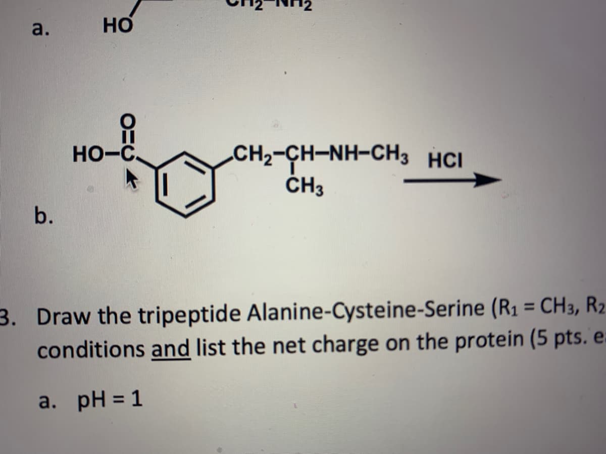 a.
Но
Но-с.
CH2-CH-NH-CH3 HCI
ČH3
b.
3. Draw the tripeptide Alanine-Cysteine-Serine (R1 = CH3, R2
conditions and list the net charge on the protein (5 pts. e.
%3D
a. pH = 1
