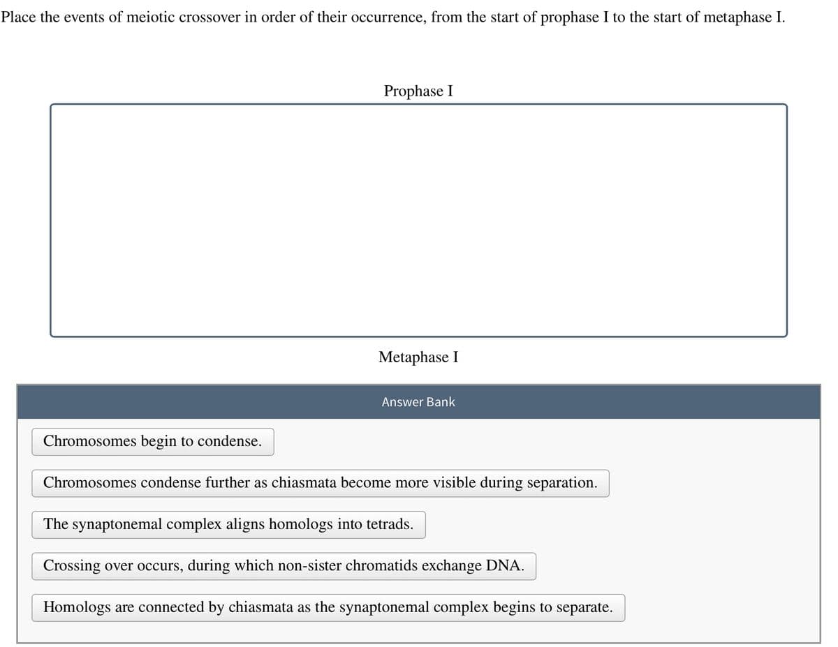 Place the events of meiotic crossover in order of their occurrence, from the start of prophase I to the start of metaphase I.
Prophase I
Metaphase I
Answer Bank
Chromosomes begin to condense.
Chromosomes condense further as chiasmata become more visible during separation.
The synaptonemal complex aligns homologs into tetrads.
Crossing over occurs, during which non-sister chromatids exchange DNA.
Homologs are connected by chiasmata as the synaptonemal complex begins to separate.