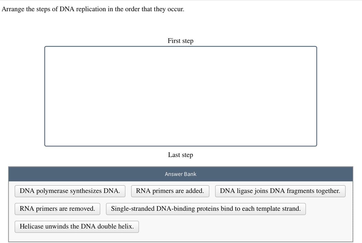 Arrange the steps of DNA replication in the order that they occur.
First step
Helicase unwinds the DNA double helix.
Last step
Answer Bank
DNA polymerase synthesizes DNA. RNA primers are added. DNA ligase joins DNA fragments together.
RNA primers are removed. Single-stranded DNA-binding proteins bind to each template strand.