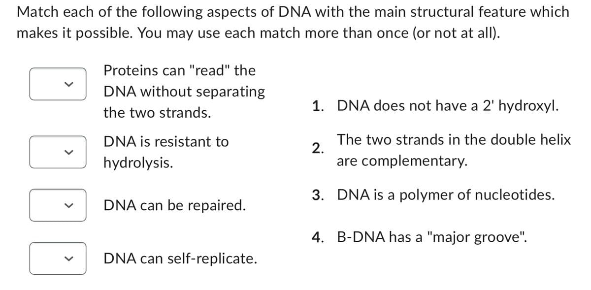 Match each of the following aspects of DNA with the main structural feature which
makes it possible. You may use each match more than once (or not at all).
Proteins can "read" the
DNA without separating
the two strands.
DNA is resistant to
hydrolysis.
DNA can be repaired.
DNA can self-replicate.
1. DNA does not have a 2' hydroxyl.
The two strands in the double helix
are complementary.
3. DNA is a polymer of nucleotides.
4. B-DNA has a "major groove".
2.