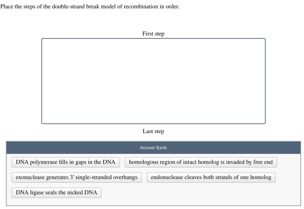 Place the steps of the double-strand break model of recombination in order.
DNA polymerase fills in gaps in the DNA
exonuclease generates 3' single-stranded overhangs
DNA ligase seals the nicked DNA
First step
Last step
Answer Bank
homologous region of intact homolog is invaded by free end
endonuclease cleaves both strands of one homolog