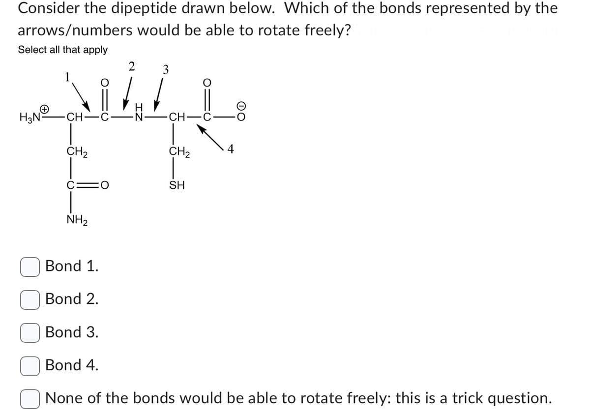 Consider the dipeptide drawn below. Which of the bonds represented by the
arrows/numbers would be able to rotate freely?
Select all that apply
H₂N
3
MALL
CH-C
CH₂
CH
CH₂
NH₂
SH
Bond 1.
Bond 2.
Bond 3.
Bond 4.
None of the bonds would be able to rotate freely: this is a trick question.