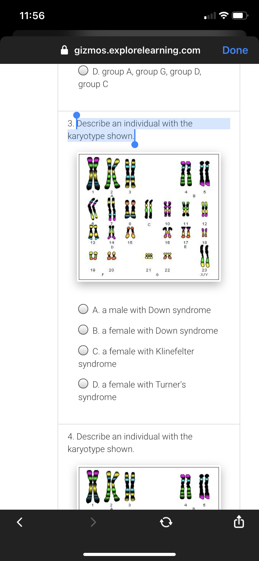 11:56
gizmos.explorelearning.com
Done
D. group A, group G, group D,
group C
3. Describe an individual with the
karyotype shown.
10
11
13
14
15
16
17
18
888
19
20
21
22
23
F
X/Y
O A. a male with Down syndrome
B. a female with Down syndrome
O C. a female with Klinefelter
syndrome
D. a female with Turner's
syndrome
4. Describe an individual with the
karyotype shown.
XKI

