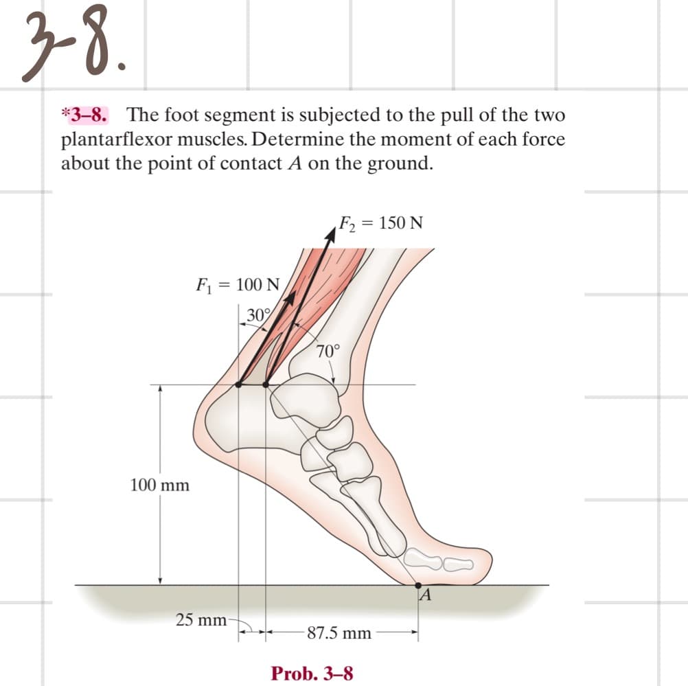 3-8.
*3-8. The foot segment is subjected to the pull of the two
plantarflexor muscles. Determine the moment of each force
about the point of contact A on the ground.
100 mm
F₁ = 100 N
30%
25 mm-
F₂ = 150 N
70°
87.5 mm
Prob. 3-8