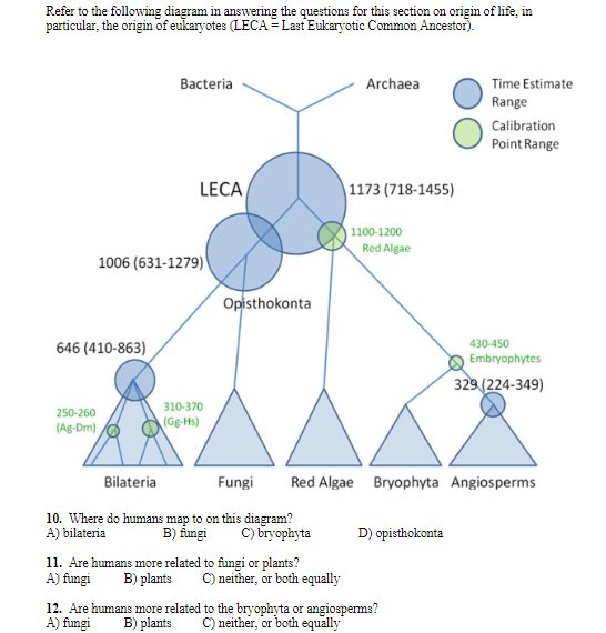 Refer to the following diagram in answering the questions for this section on origin of life, in
particular, the origin of eukaryotes (LECA = Last Eukaryotic Common Ancestor).
Time Estimate
Range
Bacteria
Archaea
Calibration
Point Range
LECA
| 1173 (718-1455)
| 1100-1200
Red Algae
1006 (631-1279)
Opisthokonta
430-450
646 (410-863)
Embryophytes
329 (224-349)
310-370
250-260
(Ag-Dm)
(Gg-Hs)
Bilateria
Fungi
Red Algae Bryophyta Angiosperms
10. Where do humans map to on this diagram?
B) ẩungi
C) bryophyta
A) bilateria
D) opisthokonta
11. Are humans more related to fungi or plants?
B) plants
C) neither, or both equally
A) fungi
12. Are humans more related to the bryophyta or angiosperms?
A) fungi
C) neither, or both equally
B) plants
