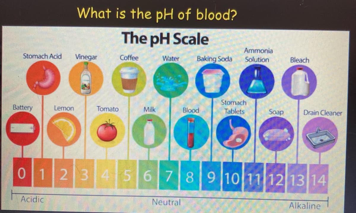 What is the pH of blood?
The pH Scale
Ammonia
Solution
Stomach Acid Vinegar
Coffee
Water Baking Soda
Bleach
000
Stomach
Tablets
Battery
Lemon
Tomato
Milk
Blood
Soap
Drain Cleaner
OO
0 1 2 3 4 5 6 7 8 9 10 11 12 13 14
Acidic
Neutral
Alkaline
