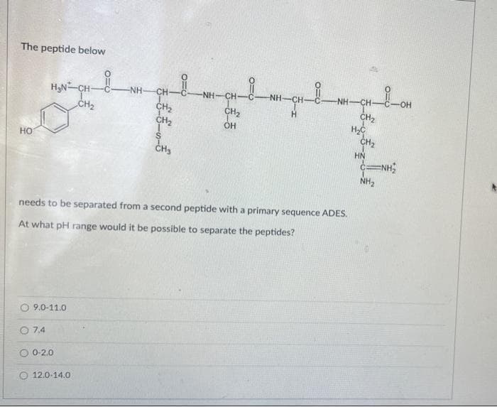 The peptide below
HạN-CH-
-NH
CH
NH-CH-C
NH-CH
-C
NH-CH-
O-
CH2
CH2
CH2
CH2
OH
CH2
но
CH2
CH3
HN
c=NH;
NH2
needs to be separated from a second peptide with a primary sequence ADES.
At what pH range would it be possible to separate the peptides?
9.0-11.0
O 7.4
O 0-2.0
O 12.0-14.0
