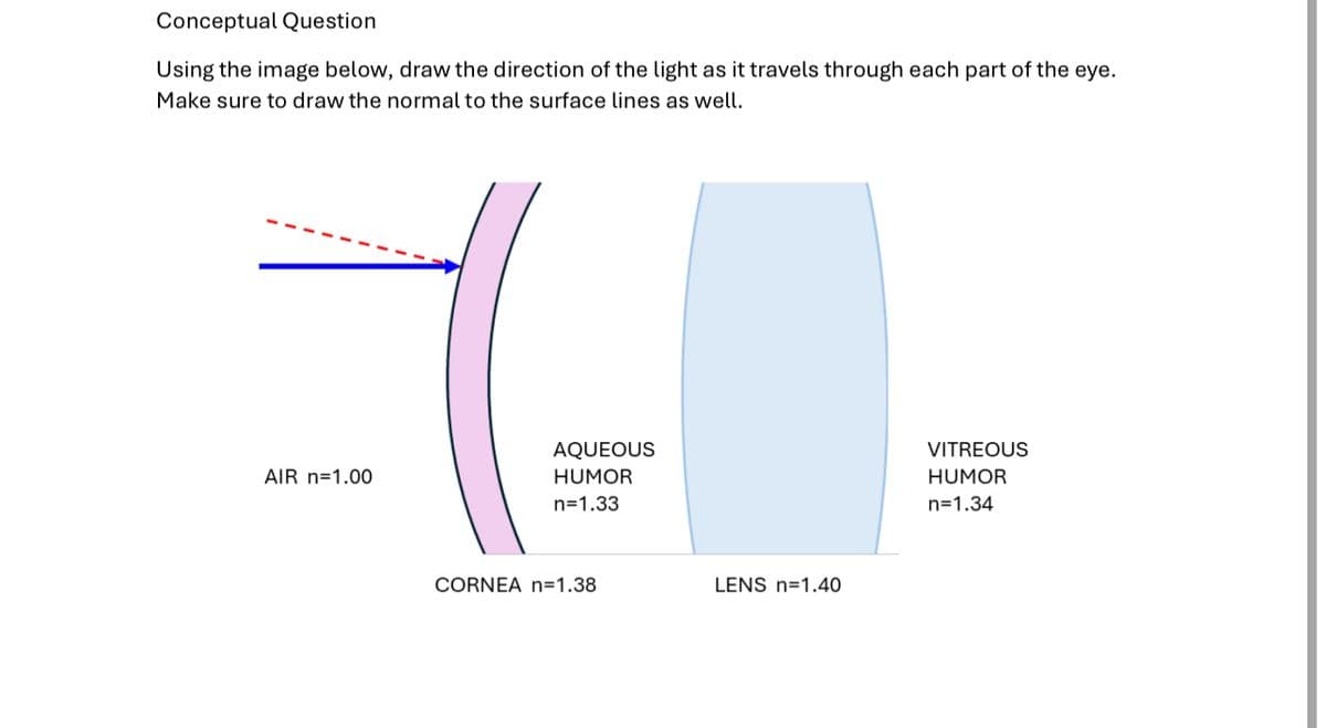 Conceptual Question
Using the image below, draw the direction of the light as it travels through each part of the eye.
Make sure to draw the normal to the surface lines as well.
AIR n=1.00
AQUEOUS
HUMOR
n=1.33
CORNEA n=1.38
LENS n=1.40
VITREOUS
HUMOR
n=1.34