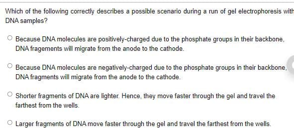 Which of the following correctly describes a possible scenario during a run of gel electrophoresis with
DNA samples?
Because DNA molecules are positively-charged due to the phosphate groups in their backbone,
DNA fragements will migrate from the anode to the cathode.
Because DNA molecules are negatively-charged due to the phosphate groups in their backbone,
DNA fragments will migrate from the anode to the cathode.
O Shorter fragments of DNA are lighter. Hence, they move faster through the gel and travel the
farthest from the wells.
Larger fragments of DNA move faster through the gel and travel the farthest from the wells.
