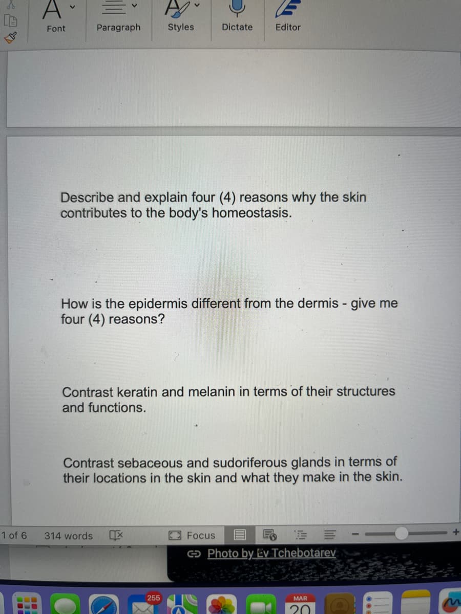 A
Font
M
Paragraph
Styles
Describe and explain four (4) reasons why the skin
contributes to the body's homeostasis.
Dictate
How is the epidermis different from the dermis - give me
four (4) reasons?
1 of 6 314 words IX
Editor
Contrast keratin and melanin in terms of their structures
and functions.
255
Contrast sebaceous and sudoriferous glands in terms of
their locations in the skin and what they make in the skin.
Focus
=
Photo by Ev Tchebotarev
MAR
20