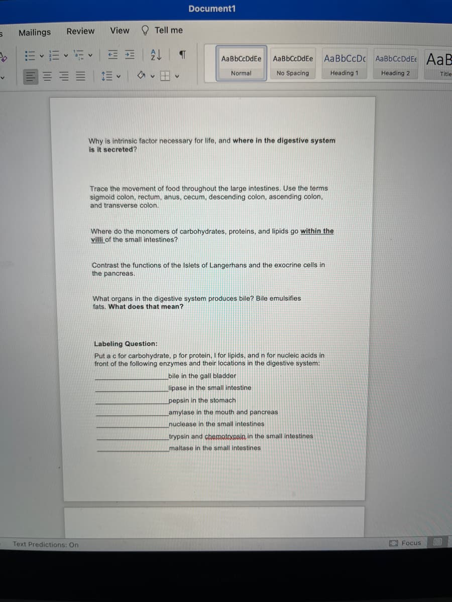 S
Mailings
v
Review
1 E E-FEE
View Tell me
Text Predictions: On
AL ¶
Document1
AaBbCcDdEe
Normal
AaBbCcDdEe
No Spacing
Why is intrinsic factor necessary for life, and where in the digestive system
is it secreted?
Trace the movement of food throughout the large intestines. Use the terms
sigmoid colon, rectum, anus, cecum, descending colon, ascending colon,
and transverse colon.
Where do the monomers of carbohydrates, proteins, and lipids go within the
villi of the small intestines?
Aa BbCcDc AaBbCcDdEe AaB-
Heading 1
Heading 2
Title
Contrast the functions of the Islets of Langerhans and the exocrine cells in
the pancreas.
What organs in the digestive system produces bile? Bile emulsifies
fats. What does that mean?
Labeling Question:
Put a c for carbohydrate, p for protein, I for lipids, and n for nucleic acids in
front of the following enzymes and their locations in the digestive system:
bile in the gall bladder
lipase in the small intestine
pepsin in the stomach
amylase in the mouth and pancreas
nuclease in the small intestines
trypsin and chemotrypsin, in the small intestines
maltase in the small intestines
Focus