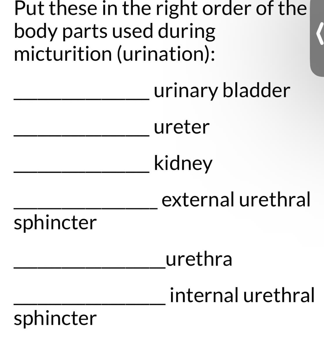 Put these in the right order of the
body parts used during
micturition (urination):
sphincter
sphincter
urinary bladder
ureter
kidney
external urethral
urethra
internal urethral