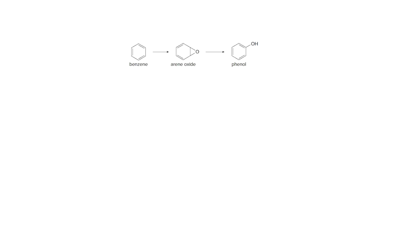 HO
benzene
arene oxide
phenol
1
1
