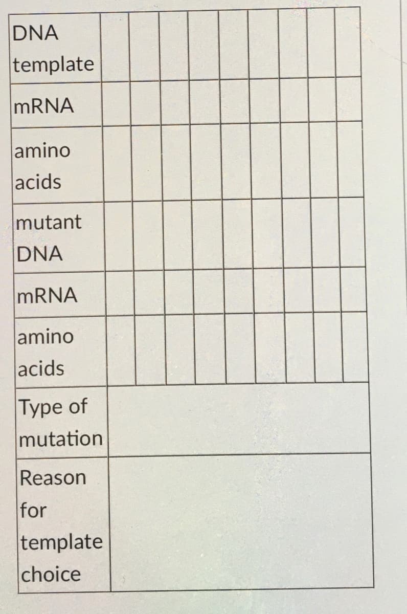 DNA
template
MRNA
amino
acids
mutant
DNA
MRNA
amino
acids
Type of
mutation
Reason
for
template
choice
