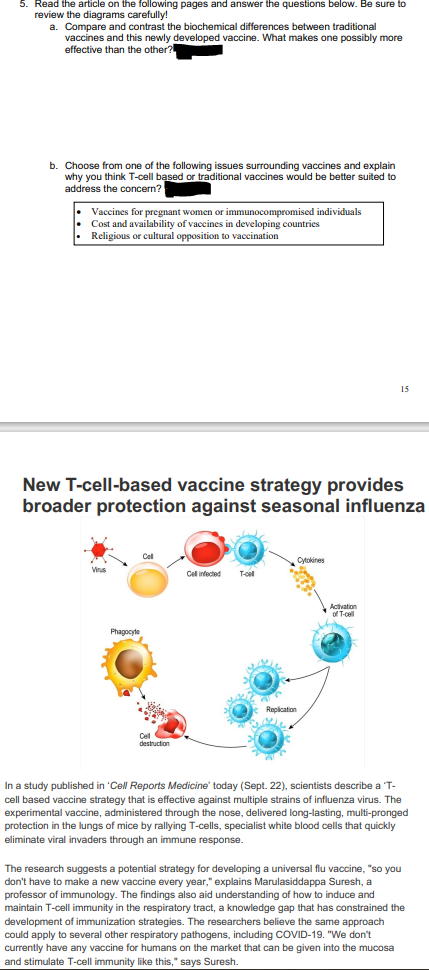 5. Read the article on the following pages and answer the questions below. Be sure to
review the diagrams carefully!
a. Compare and contrast the biochemical differences between traditional
vaccines and this newly developed vaccine. What makes one possibly more
effective than the other?
b. Choose from one of the following issues surrounding vaccines and explain
why you think T-cell based or traditional vaccines would be better suited to
address the concern?
Vaccines for pregnant women or immunocompromised individuals
Cost and availability of vaccines in developing countries
Religious or cultural opposition to vaccination
New T-cell-based vaccine strategy provides
broader protection against seasonal influenza
Phagocyte
n
Cel
Cell
destruction
Call infected
T-cell
Replication
Cytokines
15
Activation
of T-cell
In a study published in 'Cell Reports Medicine today (Sept. 22), scientists describe a T-
cell based vaccine strategy that is effective against multiple strains of influenza virus. The
experimental vaccine, administered through the nose, delivered long-lasting, multi-pronged
protection in the lungs of mice by rallying T-cells, specialist white blood cells that quickly
eliminate viral invaders through an immune response.
The research suggests a potential strategy for developing a universal flu vaccine, "so you
don't have to make a new vaccine every year," explains Marulasiddappa Suresh, a
professor of immunology. The findings also aid understanding of how to induce and
maintain T-cell immunity in the respiratory tract, a knowledge gap that has constrained the
development of immunization strategies. The researchers believe the same approach
could apply to several other respiratory pathogens, including COVID-19. "We don't
currently have any vaccine for humans on the market that can be given into the mucosa
and stimulate T-cell immunity like this," says Suresh.