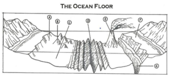 THE OCEAN FLOOR