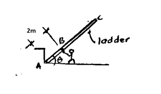 2m
14
ladder