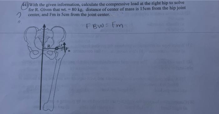 44) With the given information, calculate the compressive load at the right hip to solve
for R. Given that wt. = 80 kg, distance of center of mass is 15cm from the hip joint
center, and Fm is 5cm from the joint center..
FBW= Fm