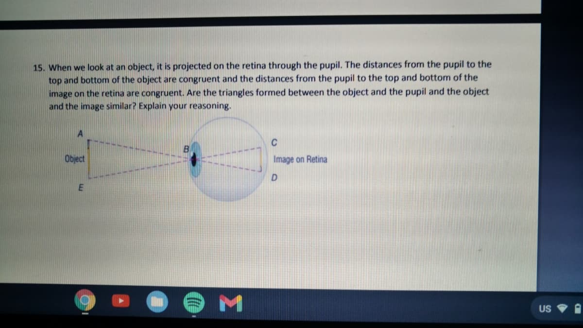 15. When we look at an object, it is projected on the retina through the pupil. The distances from the pupil to the
top and bottom of the object are congruent and the distances from the pupil to the top and bottom of the
image on the retina are congruent. Are the triangles formed between the object and the pupil and the object
and the image similar? Explain your reasoning.
A
C
Object
Image on Retina
E
US
