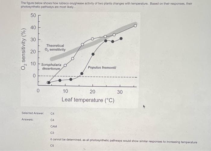 The figure below shows how rubisco oxygnease activity of two plants changes with temperature. Based on their responses, their
photosynthetic pathways are most likely.
50
40
30
Theoretical
0, sensitivity
20
10 F Scrophularia
desertorum
Populus fremontii
10
20
30
Leaf temperature (°C)
Selected Answer:
C4
Answers:
C4
CAM
C3
it cannot be determined, as all photosynthetic pathways would show similar responses to increasing temperature
C5
O2 sensitivity (%)
