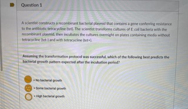 Question 1
A scientist constructs a recombinant bacterial plasmid that contains a gene conferring resistance
to the antibiotic tetracycline (tet). The scientist transforms cultures of E. coli bacteria with the
recombinant plasmid, then incubates the cultures overnight on plates containing media without
tetracycline (tet-) and with tetracycline (tet+.
Assuming the transformation protocol was successful, which of the following best predicts the
bacterial growth pattern expected after the incubation period?
No bacterial growth
Some bacterial growth
High bacterial growth
