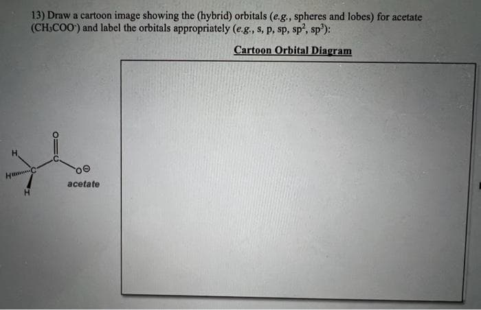 13) Draw a cartoon image showing the (hybrid) orbitals (e.g., spheres and lobes) for acetate
(CH3COO) and label the orbitals appropriately (e.g., s, p, sp, sp², sp³):
Cartoon Orbital Diagram
H
*
HC
oe
acetate