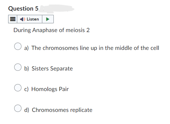 Question 5
Listen
During Anaphase of meiosis 2
a) The chromosomes line up in the middle of the cell
b) Sisters Separate
c) Homologs Pair
d) Chromosomes replicate