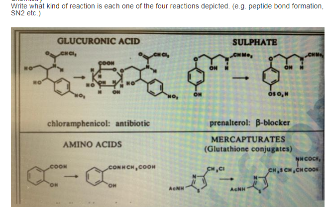 Write what kind of reaction is each one of the four reactions depicted. (e.g. peptide bond formation,
SN2 etc.)
GLUCURONIC ACID
SULPHATE
CHCI,
CHMO
NO
xox
HO
NO
ON
OSO, N
10,
chloramphenicol: antibiotic
prenalterol: B-blocker
AMINO ACIDS
MERCAPTURATES
(Glutathione conjugates)
CONHCH,COOH
CH,CI
OH
ACNH
COON
OH
ACNH
ON
ON
YN COCK,
CH.SCH,CHCOOK