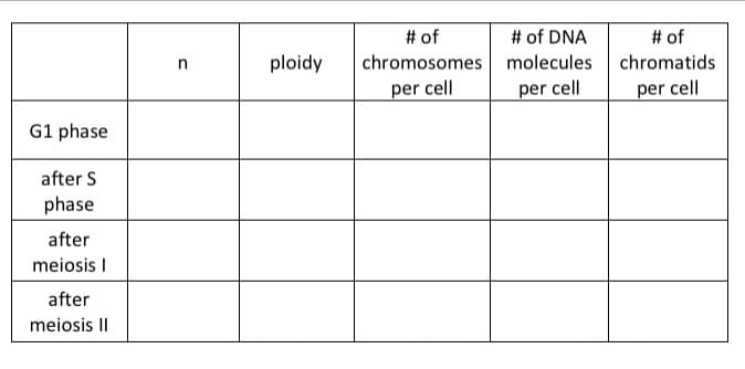 G1 phase
after S
phase
after
meiosis I
after
meiosis II
n
ploidy
# of
chromosomes
per cell
# of DNA
molecules
per cell
# of
chromatids
per cell