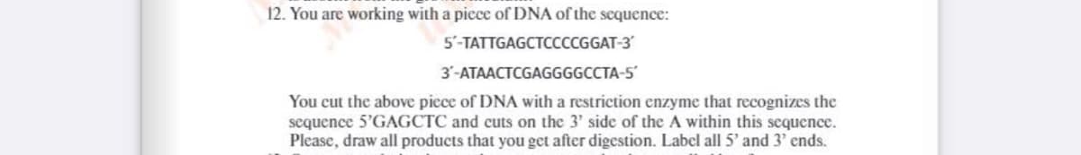 12. You are working with a picce of DNA of the sequence:
5'-TATTGAGCTCCCCGGAT-3
3'-ATAACTCGAGGGGCCTA-5
You cut the above piece of DNA with a restriction enzyme that recognizes the
sequence 5'GAGCTC and cuts on the 3' side of the A within this sequence.
Please, draw all products that you get after digestion. Label all 5' and 3' ends.
