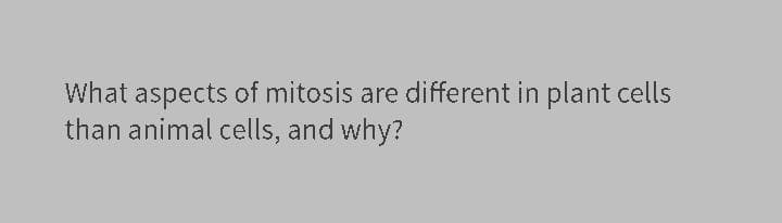 What aspects of mitosis are different in plant cells
than animal cells, and why?
