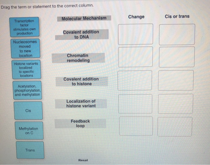 Drag the term or statement to the correct column.
Transcription
factor
stimulates own
production
Nucleosomes
moved
to new
location
Histone variants
localized
to specific
locations
Acetylation,
phosphorylation,
and methylation
Cis
Methylation
on C
Trans
Molecular Mechanism
Covalent addition
to DNA
Chromatin
remodeling
Covalent addition
to histone
Localization of
histone variant
Feedback
loop
Reset
Change
Cis or trans