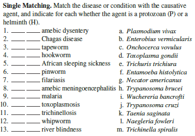 Single Matching. Match the disease or condition with the causative
agent, and indicate for each whether the agent is a protozoan (P) or a
helminth (H).
1.
- amebic dysentery
- Chagas disease
a. Plasmodium vivax
2.
b. Enterobius vermicularis
c. Onchocerca vovulus
d. Taxoplasma gondii
African sleeping sickness e. Trichuris trichiura
f. Entamoeba histolytica
g. Necator americanus
. amebic meningoencephalitis h. Trypanosoma brucei
i. Wuchereria bancrofti
j. Trypanosoma cruzi
k. Taenia saginata
1. Naegleria fowleri
m. Trichinella spiralis
3.
tapeworm
.hookworm
4.
5.
6.
- pinworm
filariasis
7.
8.
9.
.malaria
10.
. toxoplasmosis
. trichinellosis
whipworm
river blindness
11.
12.
13.
