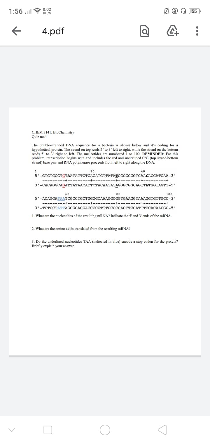 1:56 .ll
0.02
KB/S
55
4.pdf
CHEM 3141: BioChemistry
Quiz no.4 -
The double-stranded DNA sequence for a bacteria is shown below and it's coding for a
hypothetical protein. The strand on top reads 5' to 3' left to right, while the strand on the bottom
reads 5' to 3' right to left. The nucleotides are numbered 1 to 100. REMINDER: For this
problem, transcription begins with and includes the red and underlined C/G (top strand/bottom
strand) base pair and RNA polymerase proceeds from left to right along the DNA.
1.
20
40
5-СТСТСССТСТААТАТТСТGAGAТСТТАТАТСССССССТСААСАССАТСАА-3.
------+----------+
3'-САСAGGCAGATTATAACACTCТАСААТАТАGGGCGGCAGTTCTGGТАСТT-5*
60
80
100
5'-ACAGGATAATCGCCTGCTGGGGCAAAGGCGGTGAAGGTAAAGGTGTTGCC-3'
-------+
3'-TGTCCTATTAGCGGACGACCCCGTTTCCGCCACTTCCATTTCCACAACGG-5'
1. What are the nucleotides of the resulting mRNA? Indicate the 5' and 3' ends of the mRNA.
2. What are the amino acids translated from the resulting mRNA?
3. Do the underlined nucleotides TAA (indicated in blue) encode a stop codon for the protein?
Briefly explain your answer.
