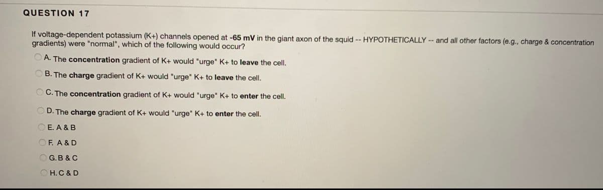 QUESTION 17
If voltage-dependent potassium (K+) channels opened at -65 mV in the giant axon of the squid -- HYPOTHETICALLY -- and all other factors (e.g., charge & concentration
gradients) were "normal", which of the following would occur?
O A. The concentration gradient of K+ would "urge" K+ to leave the cell.
O B. The charge gradient of K+ would "urge" K+ to leave the cell.
C. The concentration gradient of K+ would "urge" K+ to enter the cell.
OD. The charge gradient of K+ would "urge" K+ to enter the cell.
O E. A & B
OF. A & D
O G.B & C
O H.C & D
