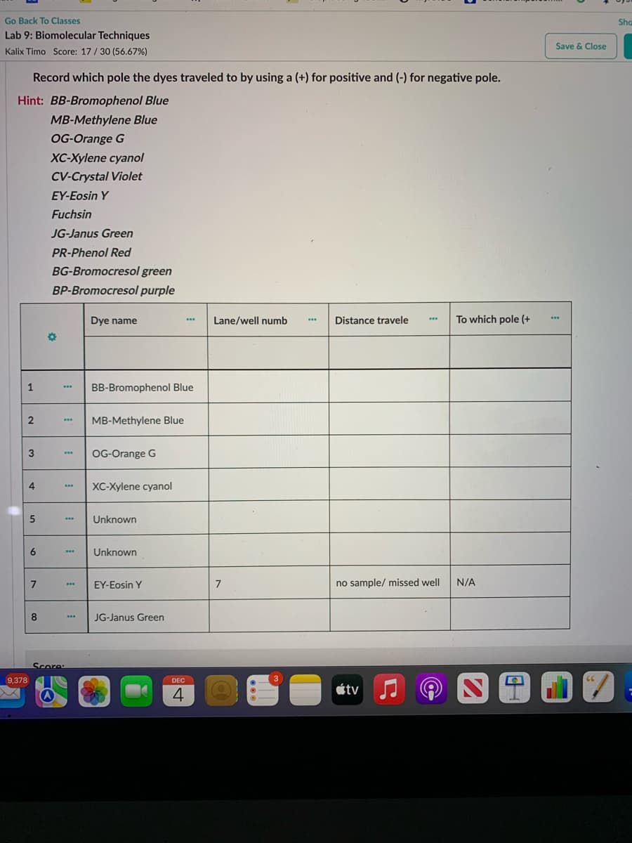 Go Back To Classes
Sha
Lab 9: Biomolecular Techniques
Save & Close
Kalix Timo Score: 17/30 (56.67%)
Record which pole the dyes traveled to by using a (+) for positive and (-) for negative pole.
Hint: BB-Bromophenol Blue
MB-Methylene Blue
OG-Orange G
XC-Xylene cyanol
CV-Crystal Violet
EY-Eosin Y
Fuchsin
JG-Janus Green
PR-Phenol Red
BG-Bromocresol green
BP-Bromocresol purple
Dye name
Lane/well numb
Distance travele
To which pole (+
..
1
BB-Bromophenol Blue
...
2
MB-Methylene Blue
...
3
OG-Orange G
4
XC-Xylene cyanol
Unknown
6.
Unknown
...
EY-Eosin Y
7
no sample/ missed well
N/A
...
JG-Janus Green
...
Score:
9,378
DEC
3
átv
4
